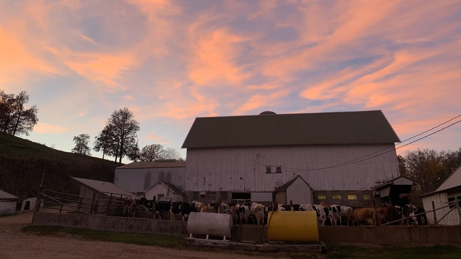 The Nonn Family Farm on a summer afternoon